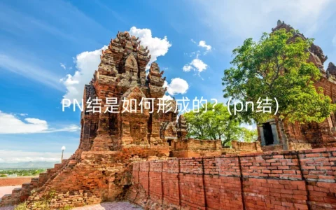 PN结是如何形成的？(pn结)