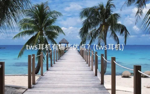 tws耳机有哪些优点？(tws耳机)