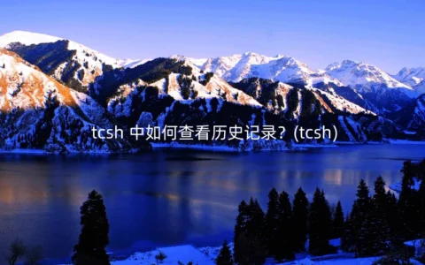 tcsh 中如何查看历史记录？(tcsh)
