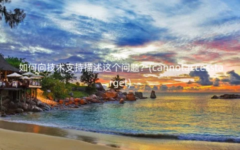如何向技术支持描述这个问题？(cannotaccesstarget)