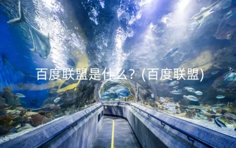 百度联盟是什么？(百度联盟)