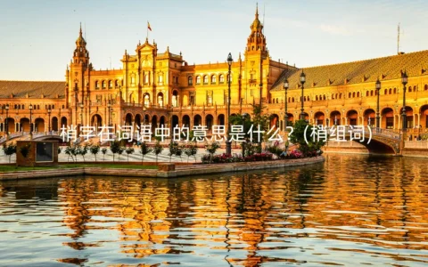 梢字在词语中的意思是什么？(梢组词)