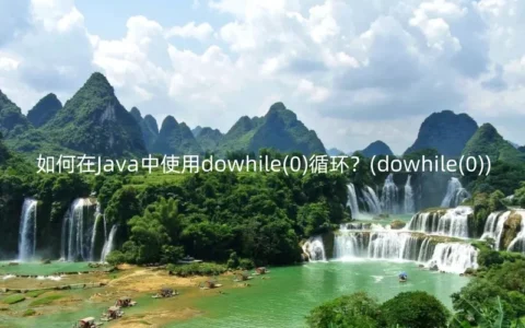 如何在Java中使用dowhile(0)循环？(dowhile(0))