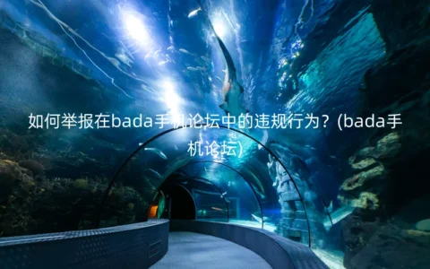 如何举报在bada手机论坛中的违规行为？(bada手机论坛)