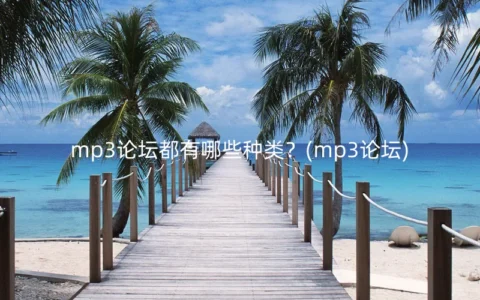 mp3论坛都有哪些种类？(mp3论坛)