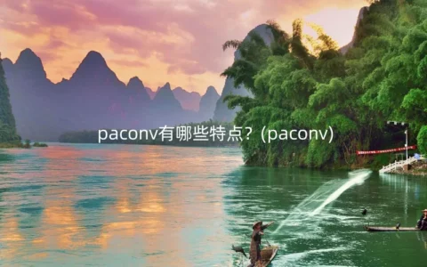 paconv有哪些特点？(paconv)