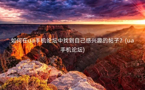 如何在ua手机论坛中找到自己感兴趣的帖子？(ua手机论坛)