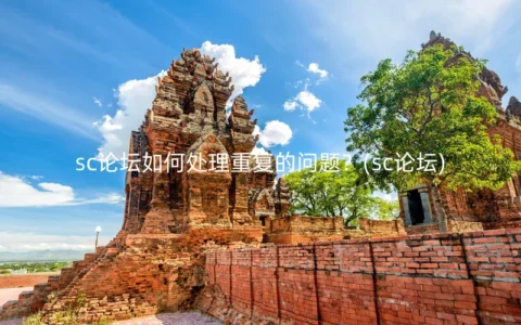 sc论坛如何处理重复的问题？(sc论坛)