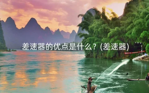 差速器的优点是什么？(差速器)