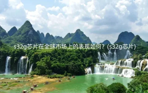 s32g芯片在全球市场上的表现如何？(s32g芯片)