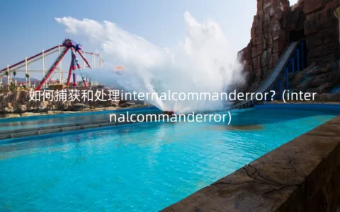 如何捕获和处理internalcommanderror？(internalcommanderror)