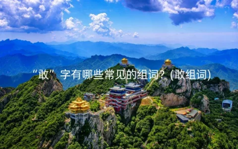 “敢”字有哪些常见的组词？(敢组词)