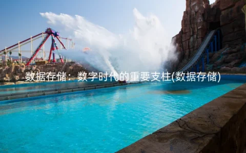 数据存储：数字时代的重要支柱(数据存储)