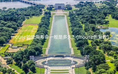 mouse的使用寿命一般是多久？(mouse的复数)