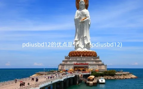 pdiusbd12的优点是什么？(pdiusbd12)