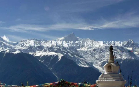 水处理过滤器有哪些优点？(水处理过滤器)