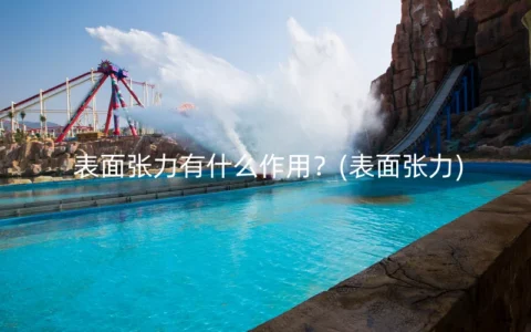 表面张力有什么作用？(表面张力)