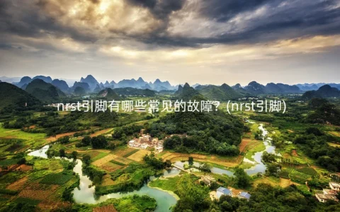 nrst引脚有哪些常见的故障？(nrst引脚)