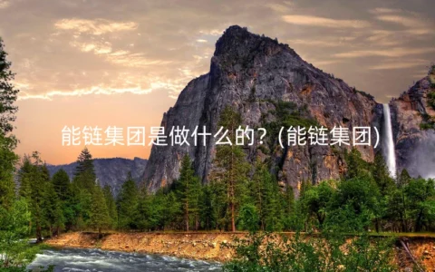 能链集团是做什么的？(能链集团)