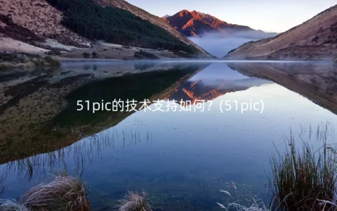 51pic的技术支持如何？(51pic)