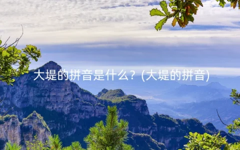 大堤的拼音是什么？(大堤的拼音)