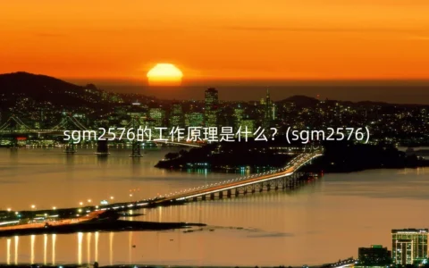 sgm2576的工作原理是什么？(sgm2576)