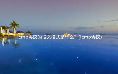 icmp协议的报文格式是什么？(icmp协议)