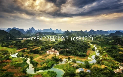 cs8422是什么？(cs8422)