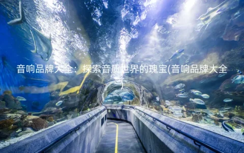 音响品牌大全：探索音质世界的瑰宝(音响品牌大全)