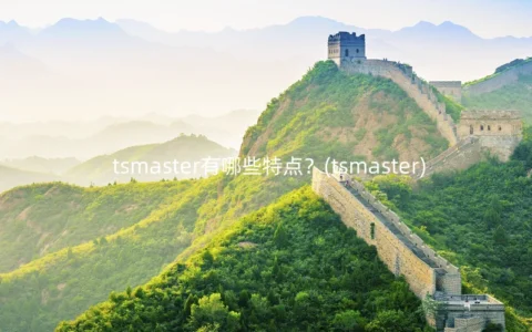 tsmaster有哪些特点？(tsmaster)