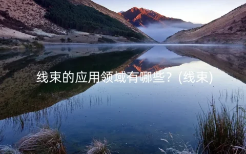 线束的应用领域有哪些？(线束)