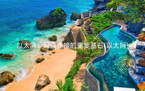 以太网：网络连接的重要基石(以太网)