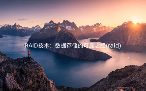 RAID技术：数据存储的可靠之路(raid)