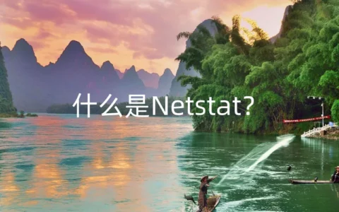 什么是Netstat？