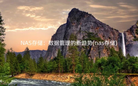 NAS存储：数据管理的新趋势(nas存储)