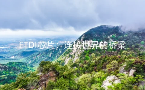 FTDI芯片：连接世界的桥梁