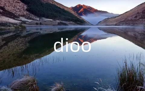 dioo