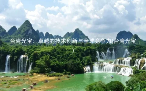 台湾光宝：卓越的技术创新与全球竞争力(台湾光宝)