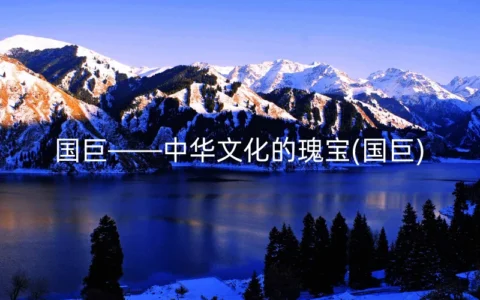 国巨——中华文化的瑰宝(国巨)
