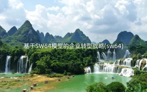 基于SW64模型的企业转型战略(sw64)
