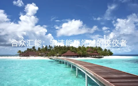 合众汇能：清洁能源领域的佼佼者