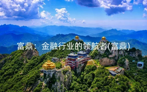 富鼎：金融行业的领航者(富鼎)