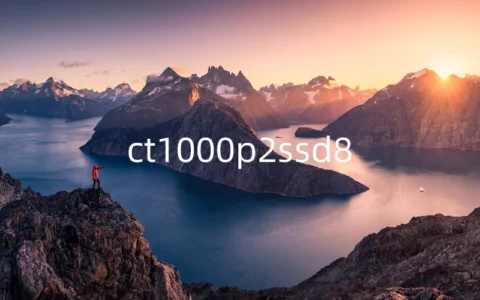 CT1000P2SSD8：固态硬盘的新里程碑
