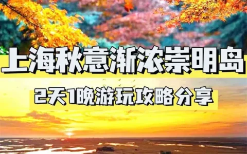 上海团建秋意渐浓崇明岛1日游玩攻略分享