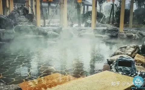 银杏金汤-鲁地天沐温泉度假区