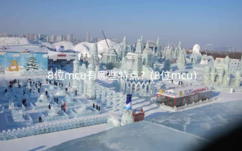 8位mcu有哪些特点？(8位mcu)