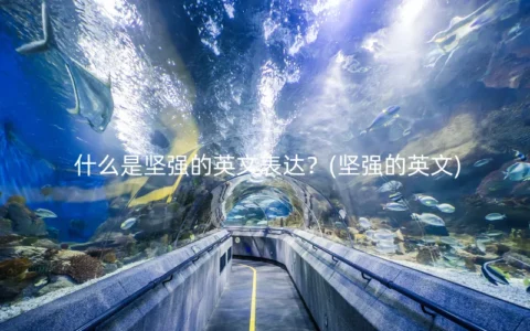 什么是坚强的英文表达？(坚强的英文)