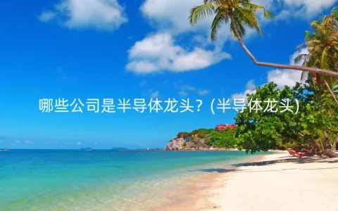 哪些公司是半导体龙头？(半导体龙头)