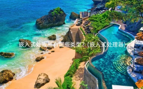 嵌入式处理器有哪些类型？(嵌入式处理器)