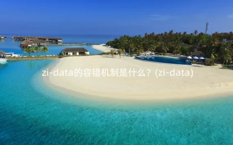 zi-data的容错机制是什么？(zi-data)